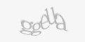Защитный код
